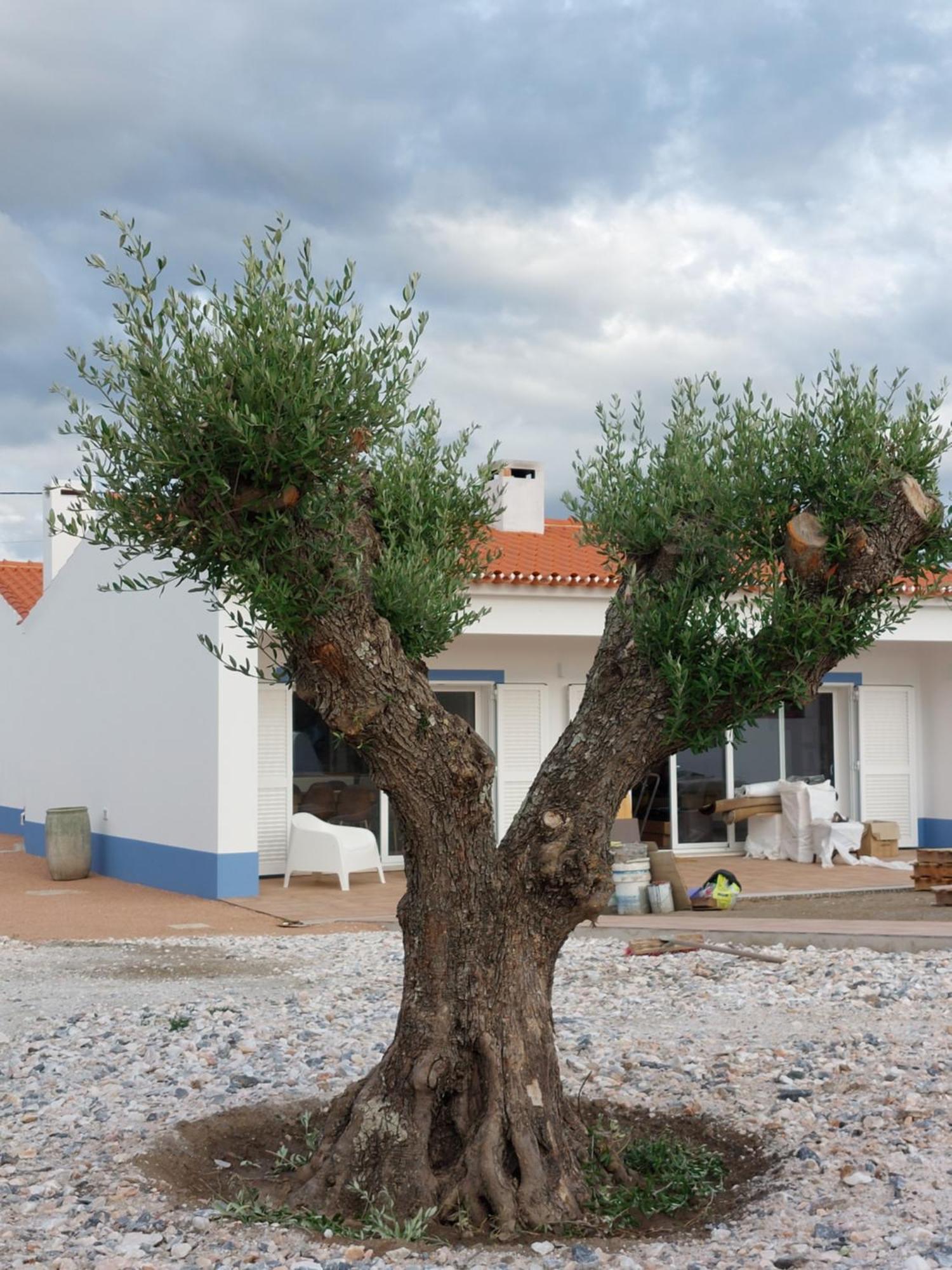Casa Com Vagar Holiday home Campinho